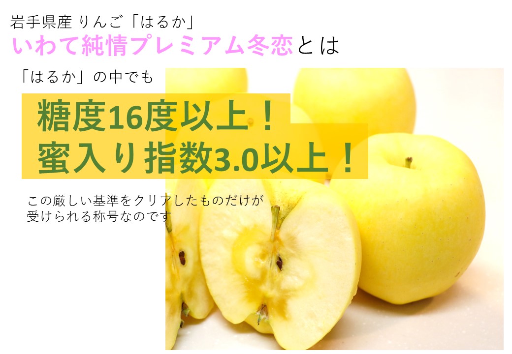 冬恋説明