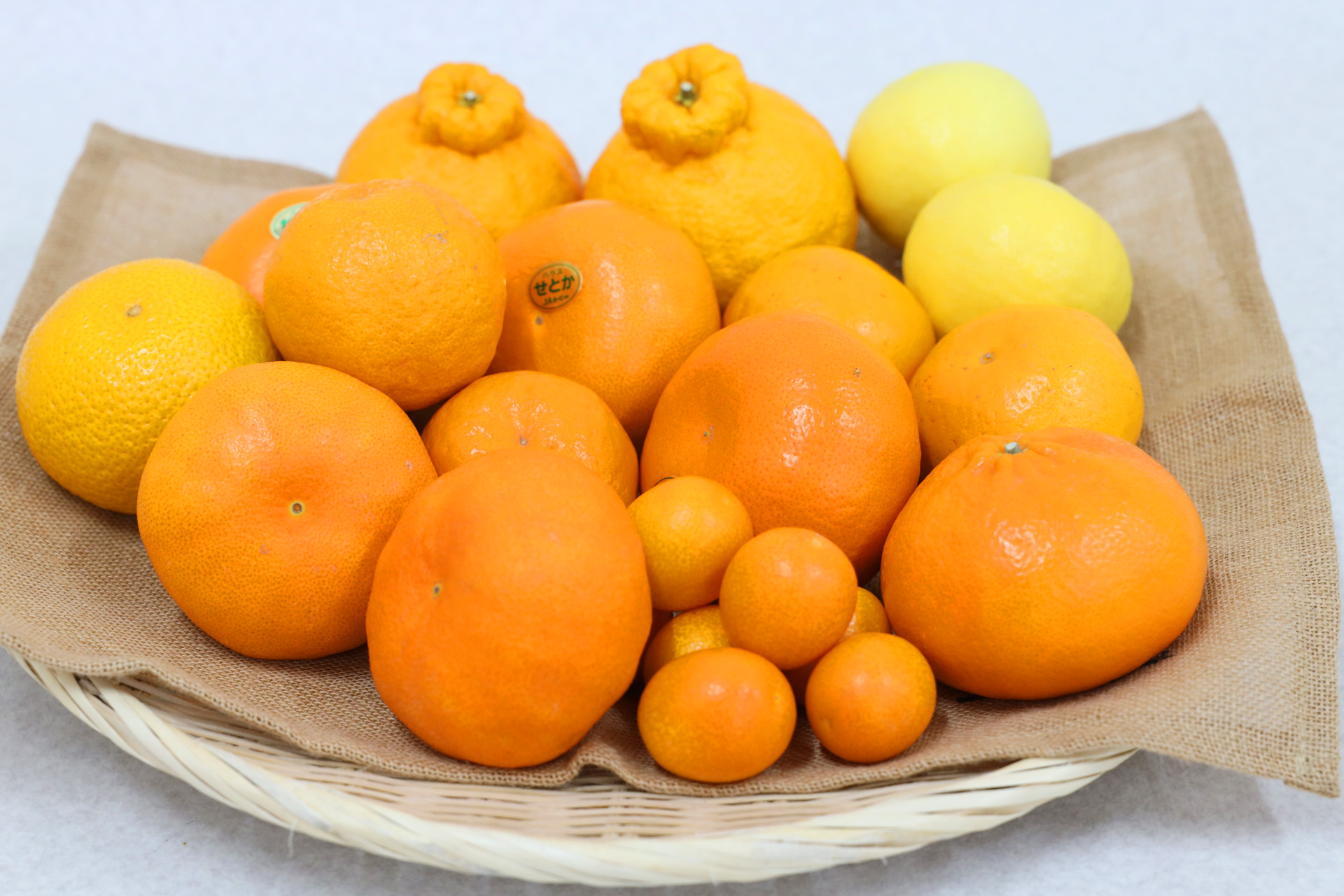 柑橘食べ比べ