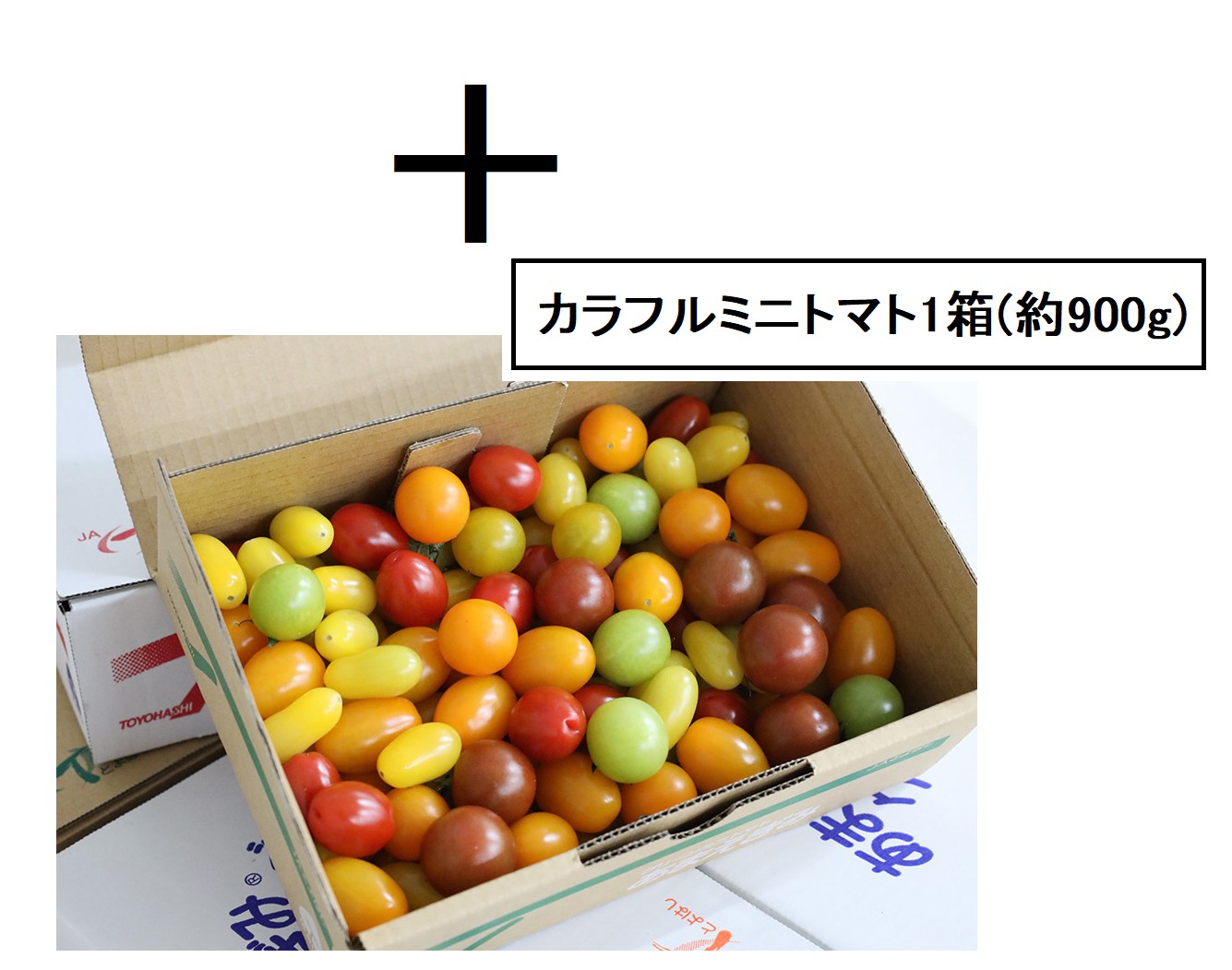 カラフルミニトマトセットアイテム