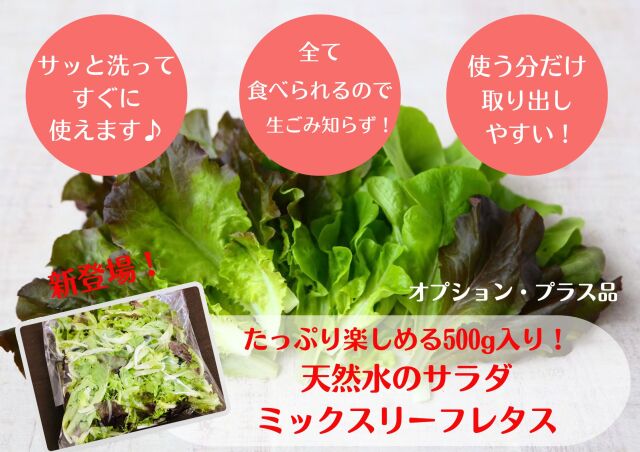 野菜＆果物　ミックスボックス