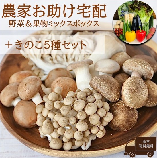 きのこi