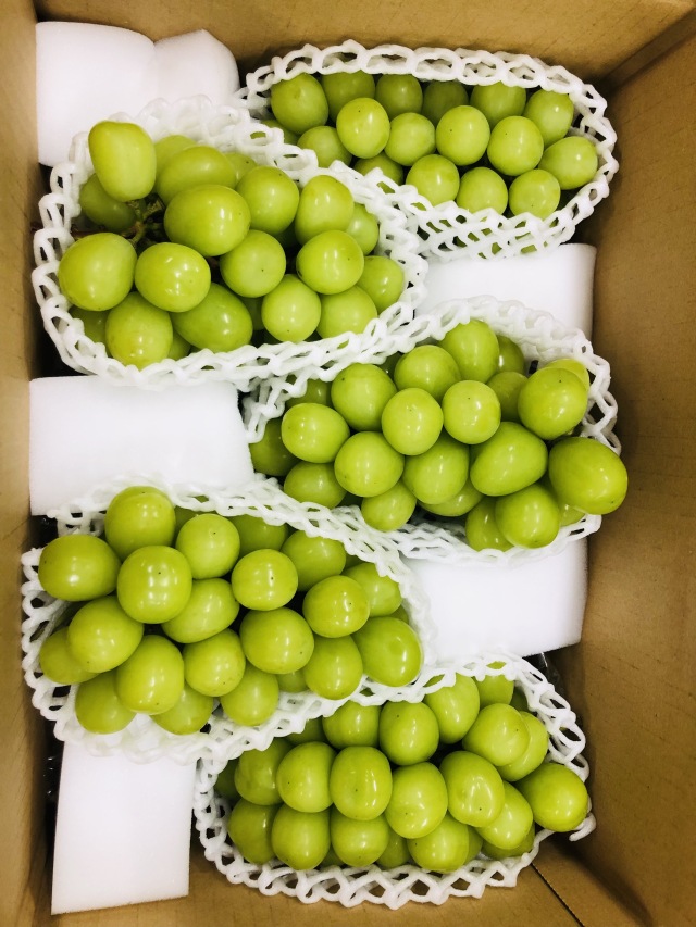 シャインマスカットお届けイメージ