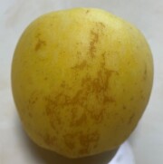 冬恋サビ
