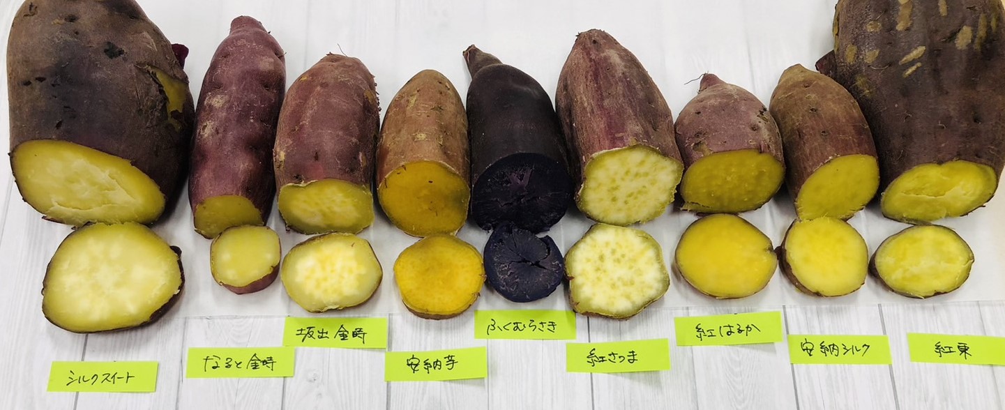 つまいも食べ比べ0